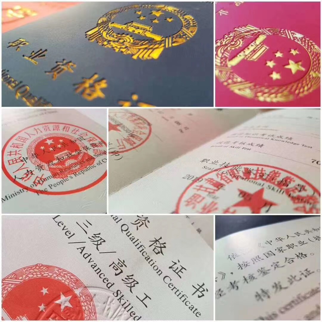 人出彩，技能强国——我国职业教育改革发展成就综述