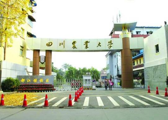 面对英语之一高考生都头疼的科目 成人高考生应该如何应对