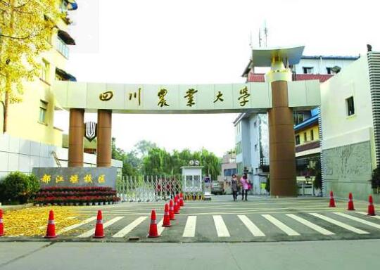 专升本报名延期有哪些处理方法？