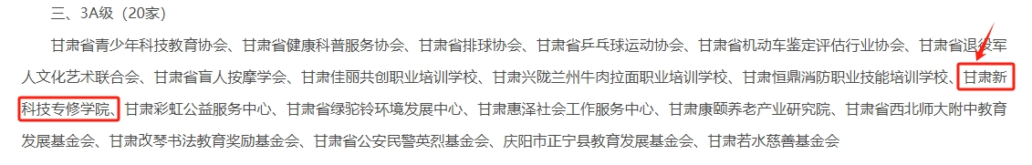 2024年度全省性社会组织评估等级公告